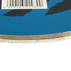 Диск алмазный отрезной ТУНДРА, сплошной, мокрый рез, 200×22 мм - Фото 3