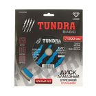 Диск алмазный отрезной ТУНДРА, сплошной, мокрый рез, 200×22 мм - Фото 5