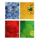 Тетрадь 48 листов клетка "Цвета природы", картонная обложка, 4 вида МИКС - Фото 1