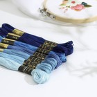 Набор ниток мулине «Цветик-Семицветик», 10 ± 1 м, 7 шт, цвет синий спектр - Фото 1