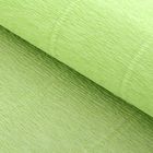 Бумага гофрированная, 566 "Светло-салатовая", 0,5 х 2,5 м - Фото 1