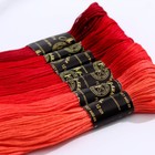 Набор ниток мулине «Цветик-Семицветик», 10 ± 1 м, 7 шт, цвет красный спектр - Фото 2