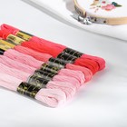 Набор ниток мулине «Цветик-Семицветик», 10 ± 1 м, 7 шт, цвет розовый спектр - Фото 2