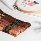 Набор ниток мулине «Цветик-Семицветик», 10 ± 1 м, 7 шт, цвет коричневый спектр МИКС - Фото 1