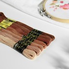 Набор ниток мулине «Цветик-Семицветик», 10 ± 1 м, 7 шт, цвет коричневый спектр МИКС - Фото 2