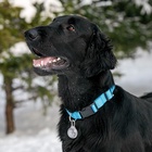 Маячок «Сфера», 3 режима свечения, прозрачный - Фото 13