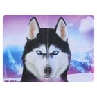 Обложка для паспорта "Хаски" - Фото 1