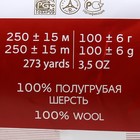 Пряжа "Деревенская" 100% полугрубая шерсть 250м/100гр (30-св.терракот) 1176692 - фото 13821713