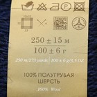 Пряжа "Деревенская" 100% полугрубая шерсть 250м/100гр (04-темно-синий) - Фото 2