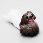 Мышь малая, корпус 5 см, натуральный мех, цвет МИКС - Фото 1