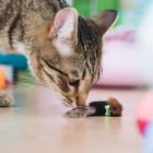 Мышь малая, корпус 5 см, натуральный мех, цвет МИКС - Фото 3