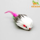 Мышь меховая "Пушистик" с перьями 7,5 см, микс цветов - фото 317874729