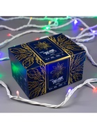 Гирлянда «Нить» 10 м, IP44, УМС, белая нить, 100 LED, свечение мульти, 220 В - Фото 9
