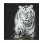 Картина на стекле Декоретто Art  "Тигр"  48*48 см - Фото 1