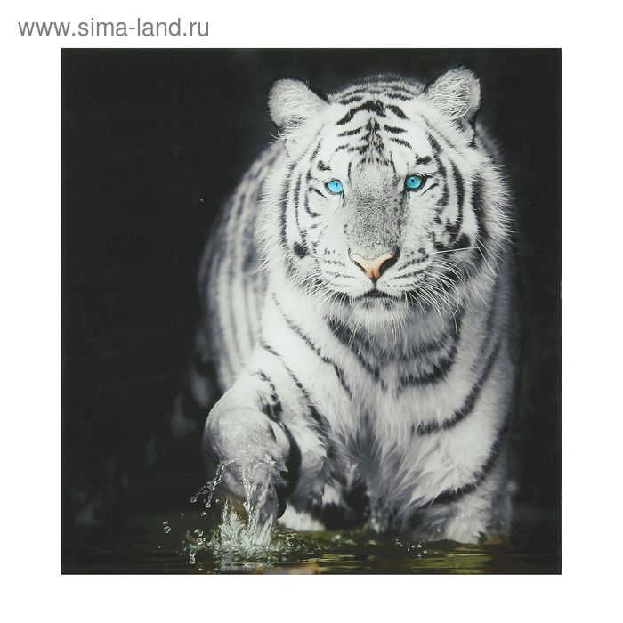 Картина на стекле Декоретто Art  "Тигр"  48*48 см - Фото 1