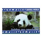 Альбом для рисования А4, 8 листов на скрепке Animal World, обложка картон 170-190г/м2, блок офсет 100г/м2, МИКС - Фото 1