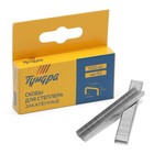 Скобы для мебельного степлера ТУНДРА, закалённые, тип 53, 6 мм, 1000 шт. - Фото 1