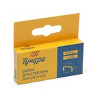 Скобы для мебельного степлера ТУНДРА, закалённые, тип 53, 6 мм, 1000 шт. - Фото 5