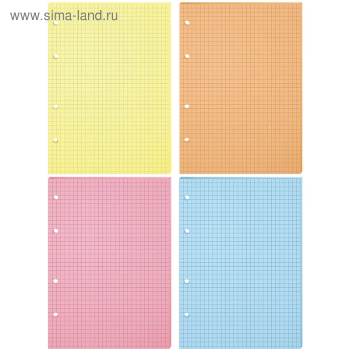 Сменный блок для тетрадей на кольцах А5, 200 листов клетка, 4 цвета - Фото 1
