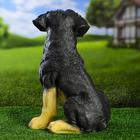 Садовая фигура "Ротвейлер №3" 27х25х37см - Фото 3