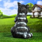 Садовая фигура "Енот с яблоком"  26х22х43см - Фото 3