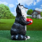 Садовая фигура "Енот с яблоком" 26х22х43см - Фото 4