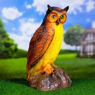 Садовая фигура "Филин" 25х18х50см - Фото 1