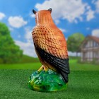 Садовая фигура "Филин" 25х18х50см - Фото 6