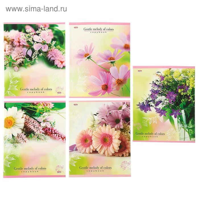 Тетрадь 48 листов линейка "Мелодия цветов", картонная обложка, 4 вида МИКС - Фото 1