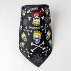 Бандана «Настоящий пират», 50×50 см - Фото 2