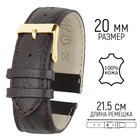 Ремешок для часов, мужской, 20 мм, запряжник 90 мм, горт 125 мм, натуральная кожа, тёмно-коричневый - Фото 1