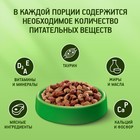 Сухой корм KiteKat "Аппетитная телятинка" для кошек, 350 г 1180498 - фото 13203590