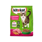 Сухой корм KiteKat «Аппетитная телятинка» для кошек, 350 г - Фото 8