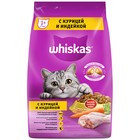 Сухой корм Whiskas для кошек, курица/индейка, подушечки, 1,9 кг - Фото 6