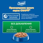 Сухой корм Chappi для собак, с говядиной по-домашнему, 15 кг - фото 9313099