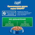 Сухой корм Chappi "Мясное изобилие" для собак, 15 кг. - Фото 3