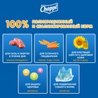 Сухой корм Chappi "Мясное изобилие" для собак, 15 кг. 1180530 - фото 54932