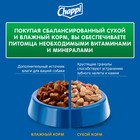 Сухой корм Chappi «Мясное изобилие» для собак, 15 кг - Фото 7