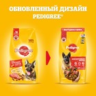 Сухой корм Pedigree для собак крупных пород, говядина, 13 кг - Фото 2