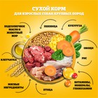 Сухой корм Pedigree для собак крупных пород, говядина, 13 кг - Фото 5