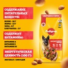 Сухой корм Pedigree для собак крупных пород, говядина, 13 кг - Фото 6