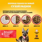 Сухой корм Pedigree для собак крупных пород, говядина, 13 кг - Фото 7