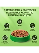 Сухой корм KiteKat «Мясной пир» для кошек, 15 кг - Фото 4