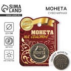 Монета сувенир «Удача, счастье и богатство», d=2.5 см - Фото 1