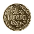 Монета именная "Игорь" - Фото 2