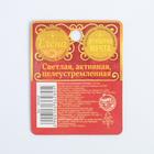 Монета сувенир именная «Елена», d=2.5 см - Фото 3