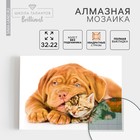 Алмазная мозаика с полным заполнением «Котёнок и щенок», 22 х 32 см. Набор для творчества - фото 8426267