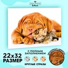 Алмазная мозаика «Котёнок и щенок», с полным заполнением на холсте, 22 × 32 см - Фото 2