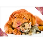 Алмазная мозаика «Котёнок и щенок», с полным заполнением на холсте, 22 × 32 см - Фото 3