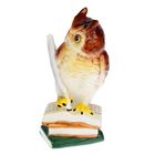 Сувенир керамика "Мудрая сова на книгах" цветной, 13,2х6,7х7,5 см - Фото 3